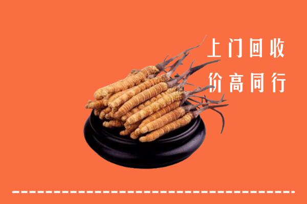 高价求购：遂宁船山区回收散虫草