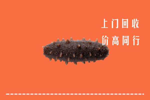 高价求购：遂宁船山区回收海参