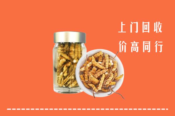 遂宁船山区回收冬虫夏草